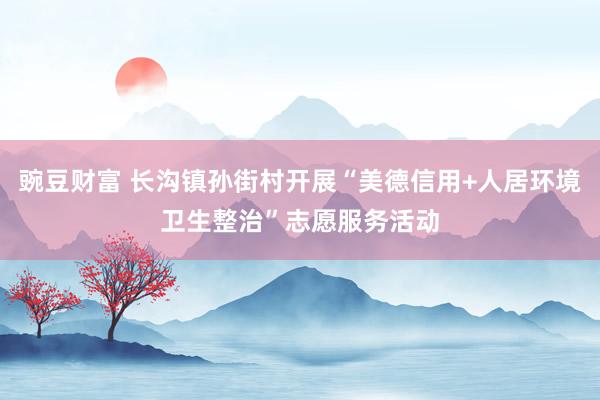 豌豆财富 长沟镇孙街村开展“美德信用+人居环境卫生整治”志愿服务活动