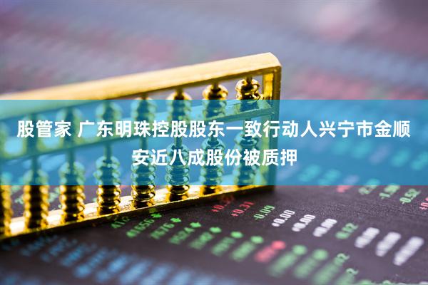 股管家 广东明珠控股股东一致行动人兴宁市金顺安近八成股份被质押