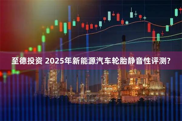 至德投资 2025年新能源汽车轮胎静音性评测?