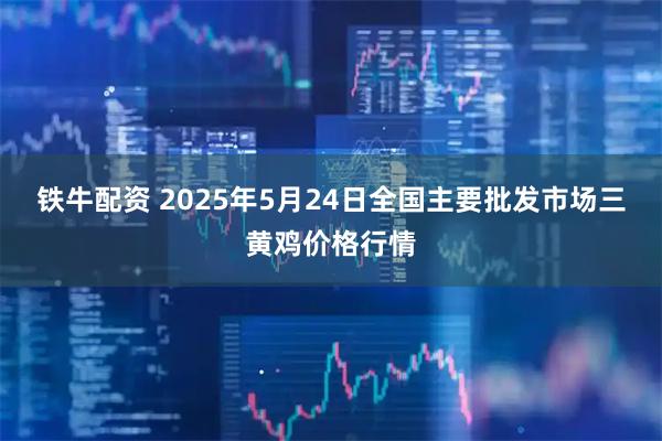 铁牛配资 2025年5月24日全国主要批发市场三黄鸡价格行情
