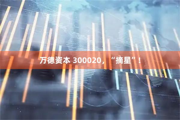 万德资本 300020，“摘星”！