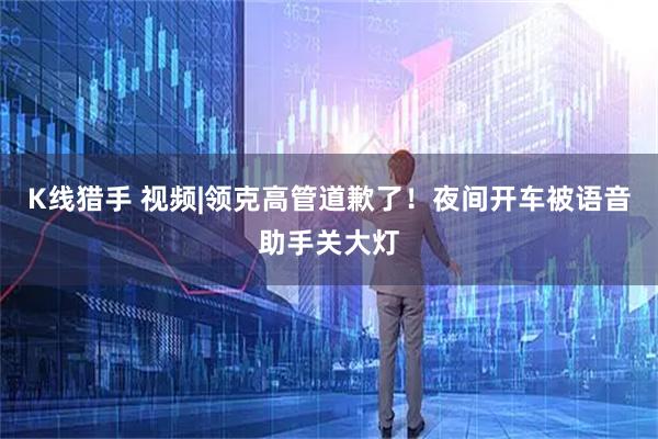 K线猎手 视频|领克高管道歉了！夜间开车被语音助手关大灯
