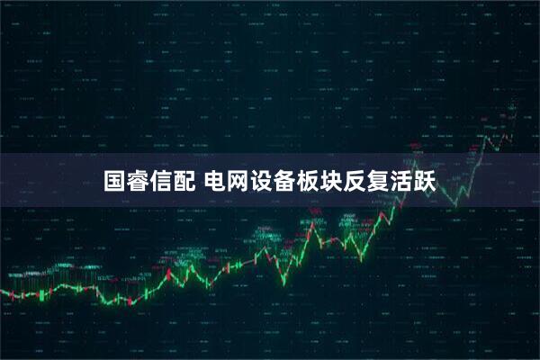 国睿信配 电网设备板块反复活跃